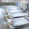 Factory Price Disposable Medical Supply Sterile Transfusion Blood Bag