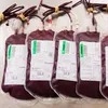 Medical Supply Sterile Disposable Blood Bag 500ml Manufacture